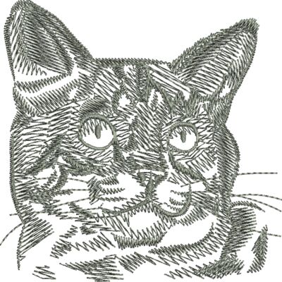 wo312 Thumbnail