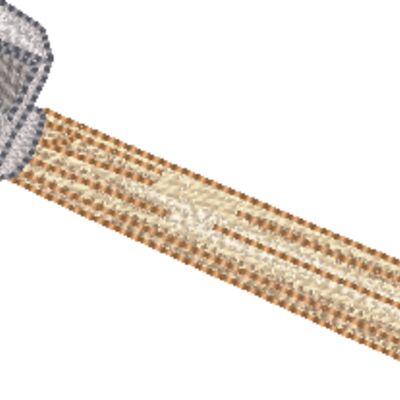 350568 Thumbnail